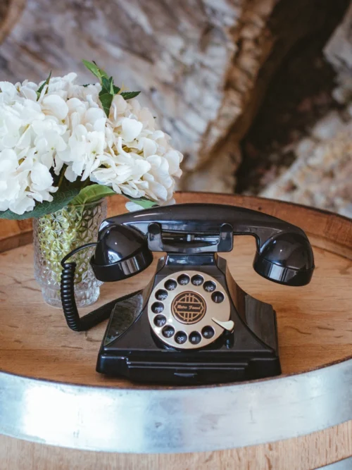 Zvočna knjiga gostov